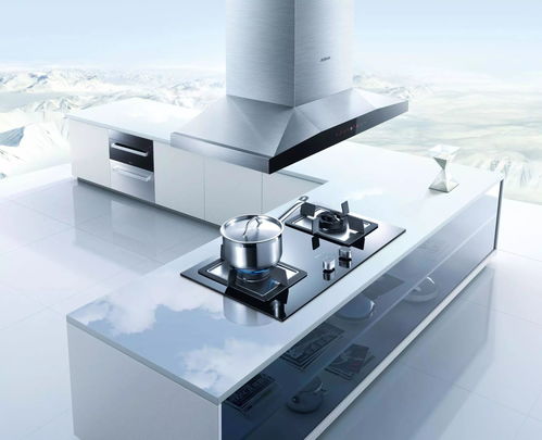 高管個個當(dāng)老板, 老板電器 名副其實